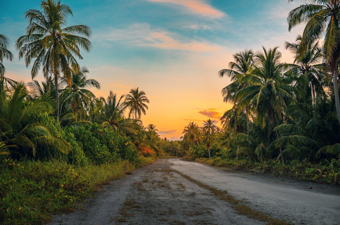 Legenda Kampung Pajang di Banten, Kisah Seorang Anak dan Pohon Kelapa