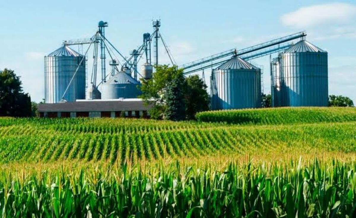 Pakar IPB University: RI Harus Jadi Agroindustrial Country Agar Maju, Apa Itu?