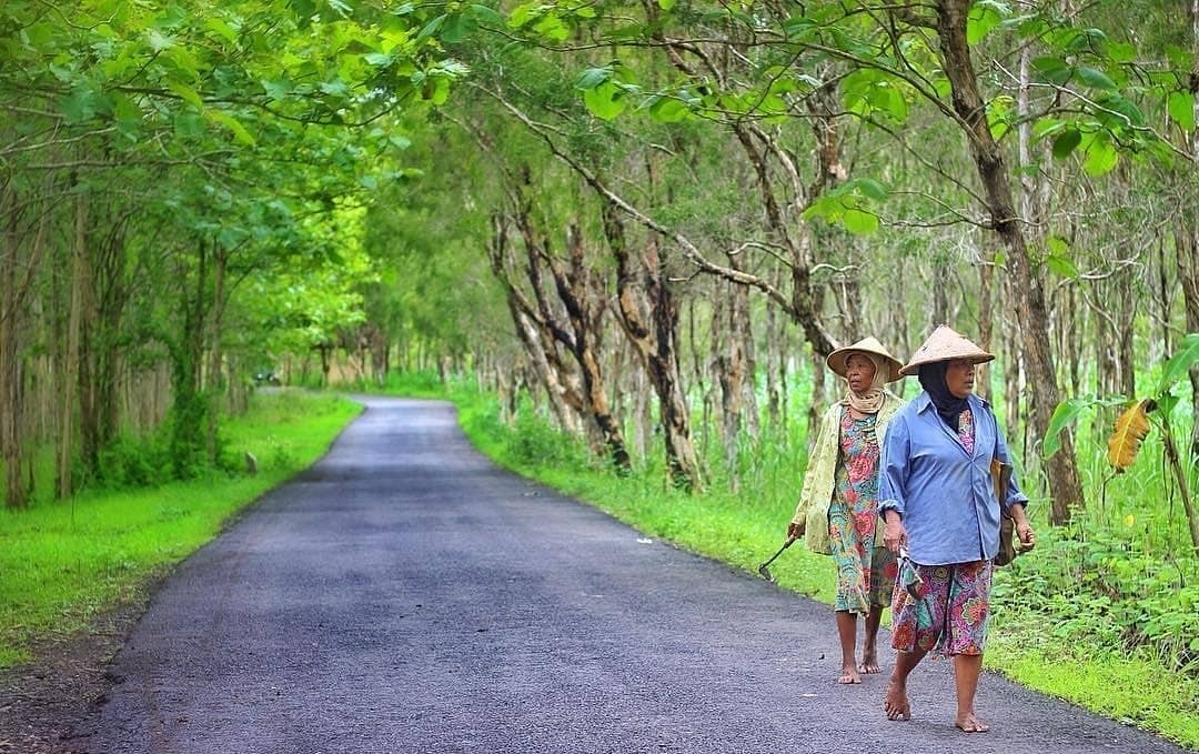 Sosok Sudarmi, Perempuan Gigih yang Pimpin Pengelolaan Hutan Jati di Gunungkidul