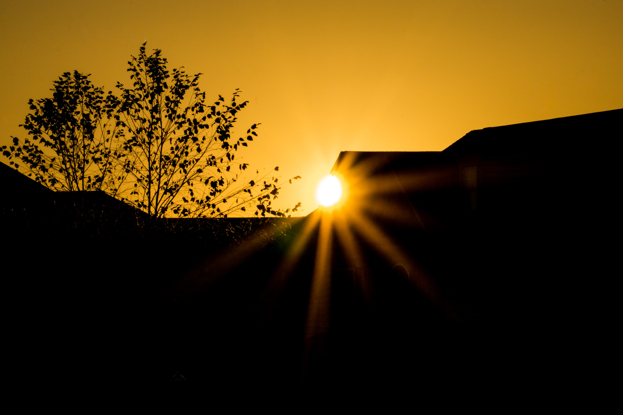 Keindahan Pagi | Andres Ferreiro (Flickr)