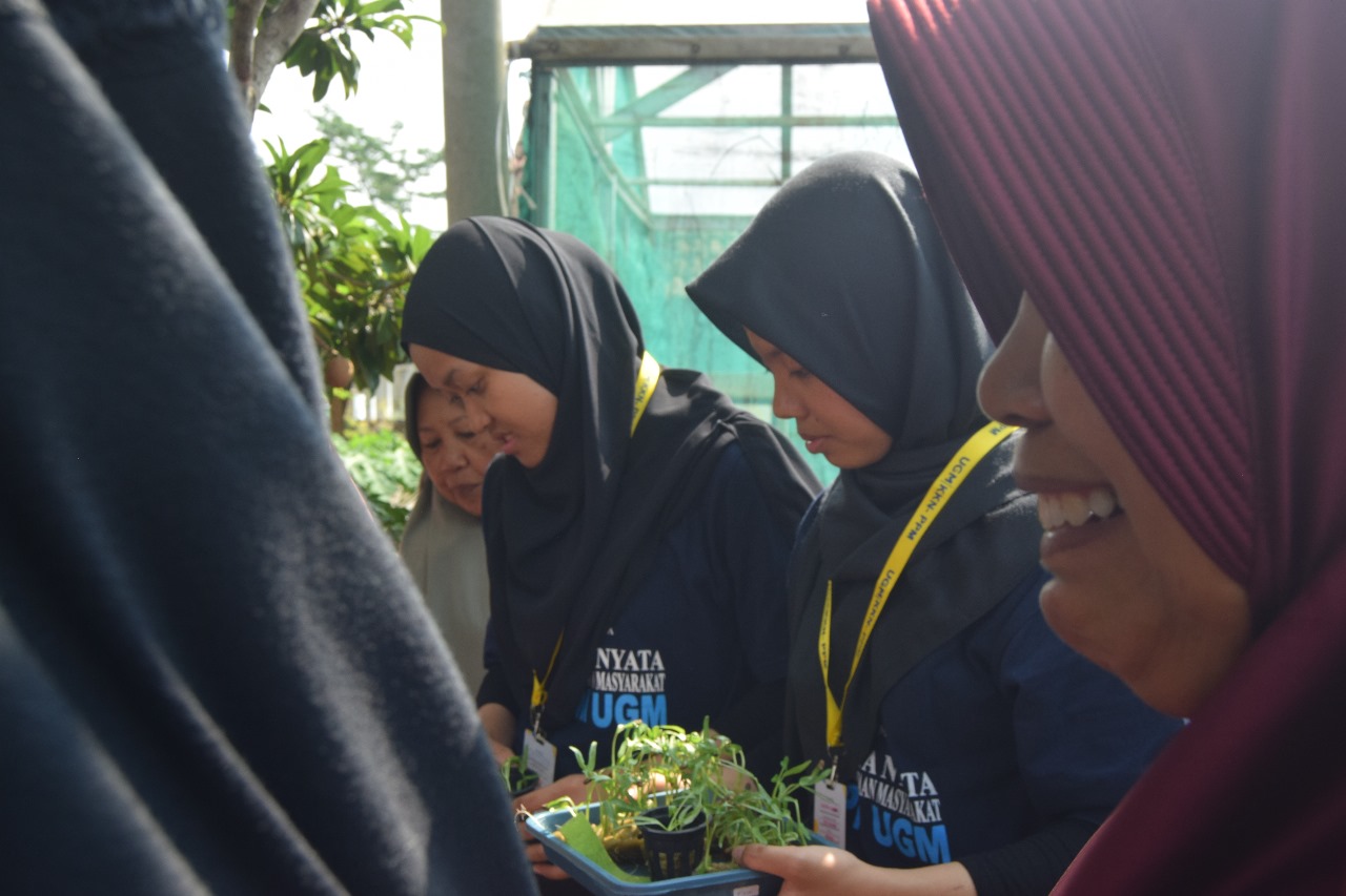 Praktik Pembuatan BUDIKDAMBER