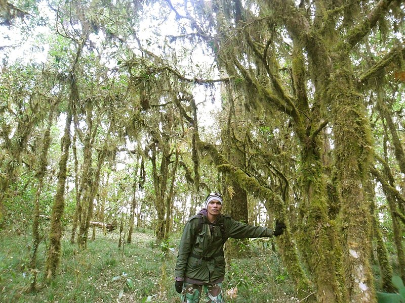 Potret Gunung Mutis | Foto: commons.wikimedia.org