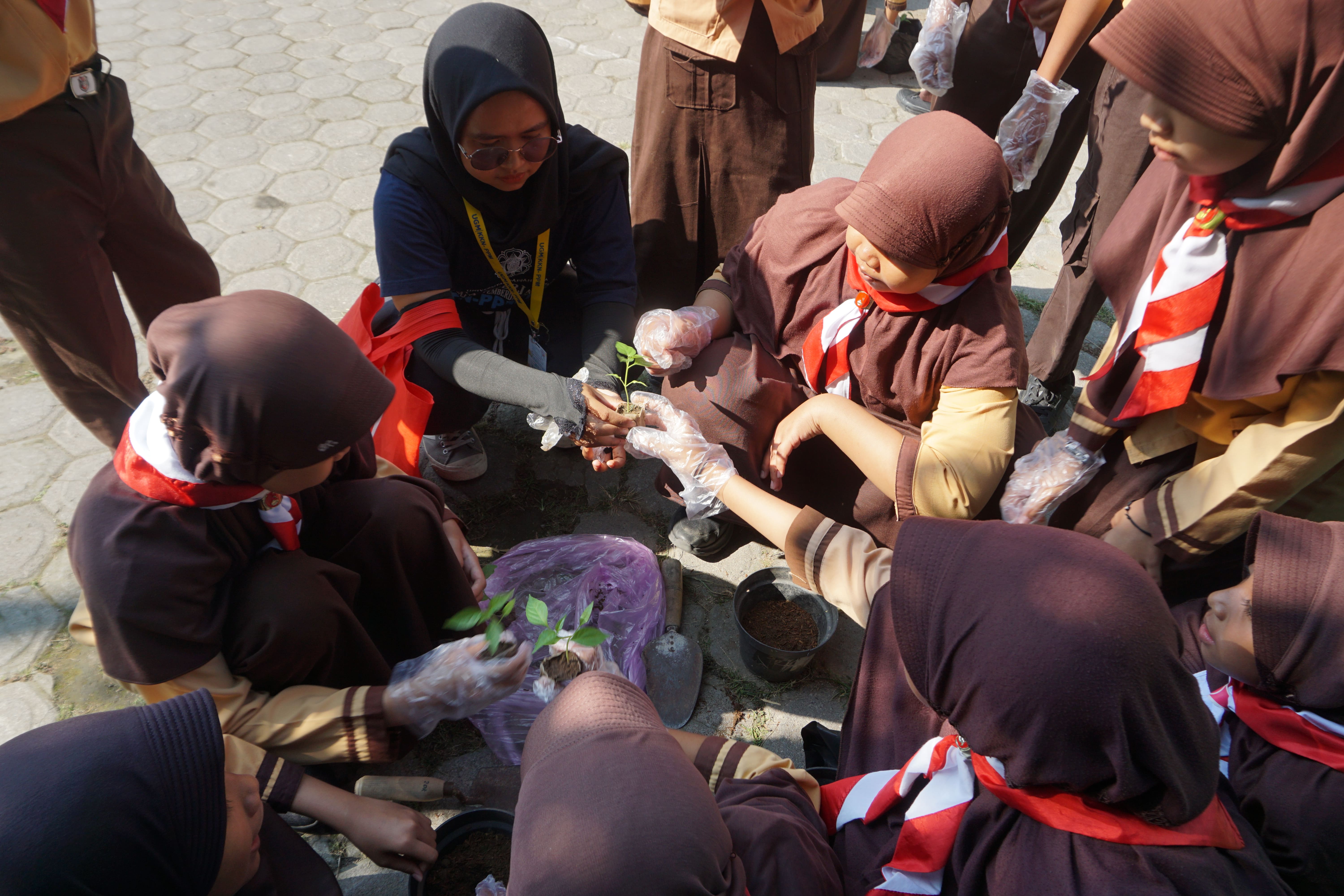 KKN-PPM UGM 2024: Menanam Pohon Bersama