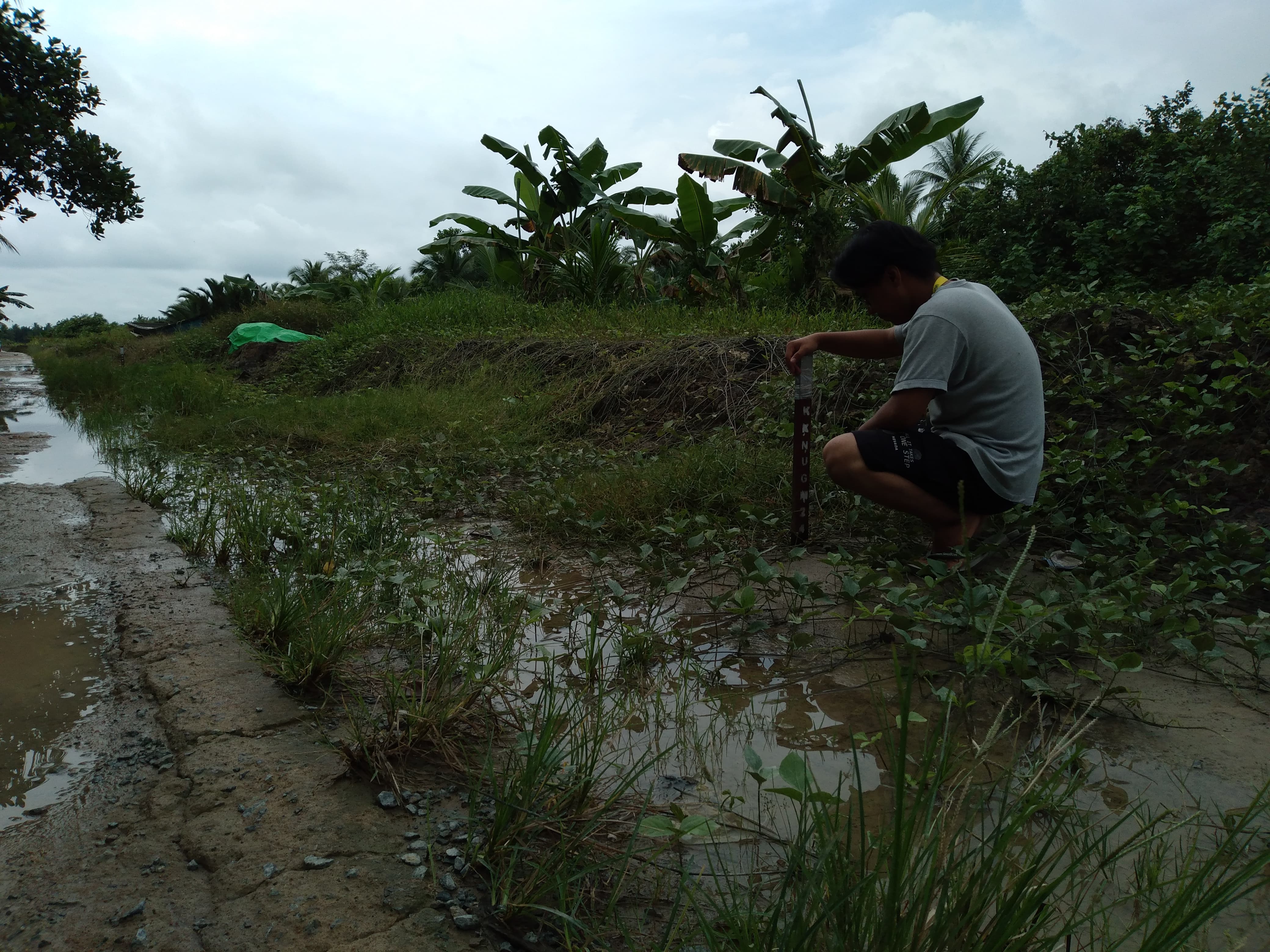 Foto: @Ryno/Suaseikakap Fariz sedang memasang pemtasa jalan (deliniator) di tepi jalan Desa Punggur Kapuas