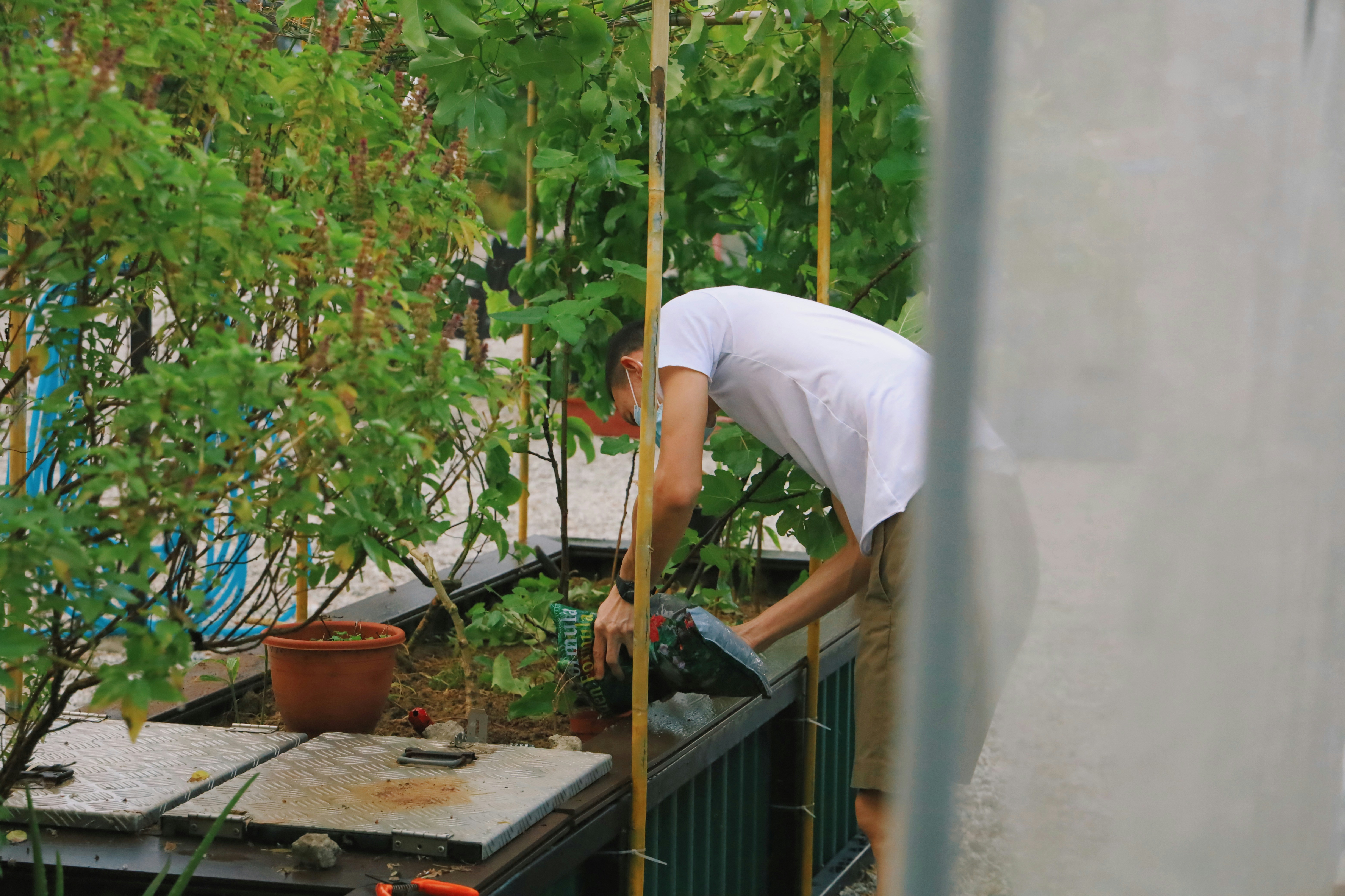 Menanam tanaman di lahan sempit