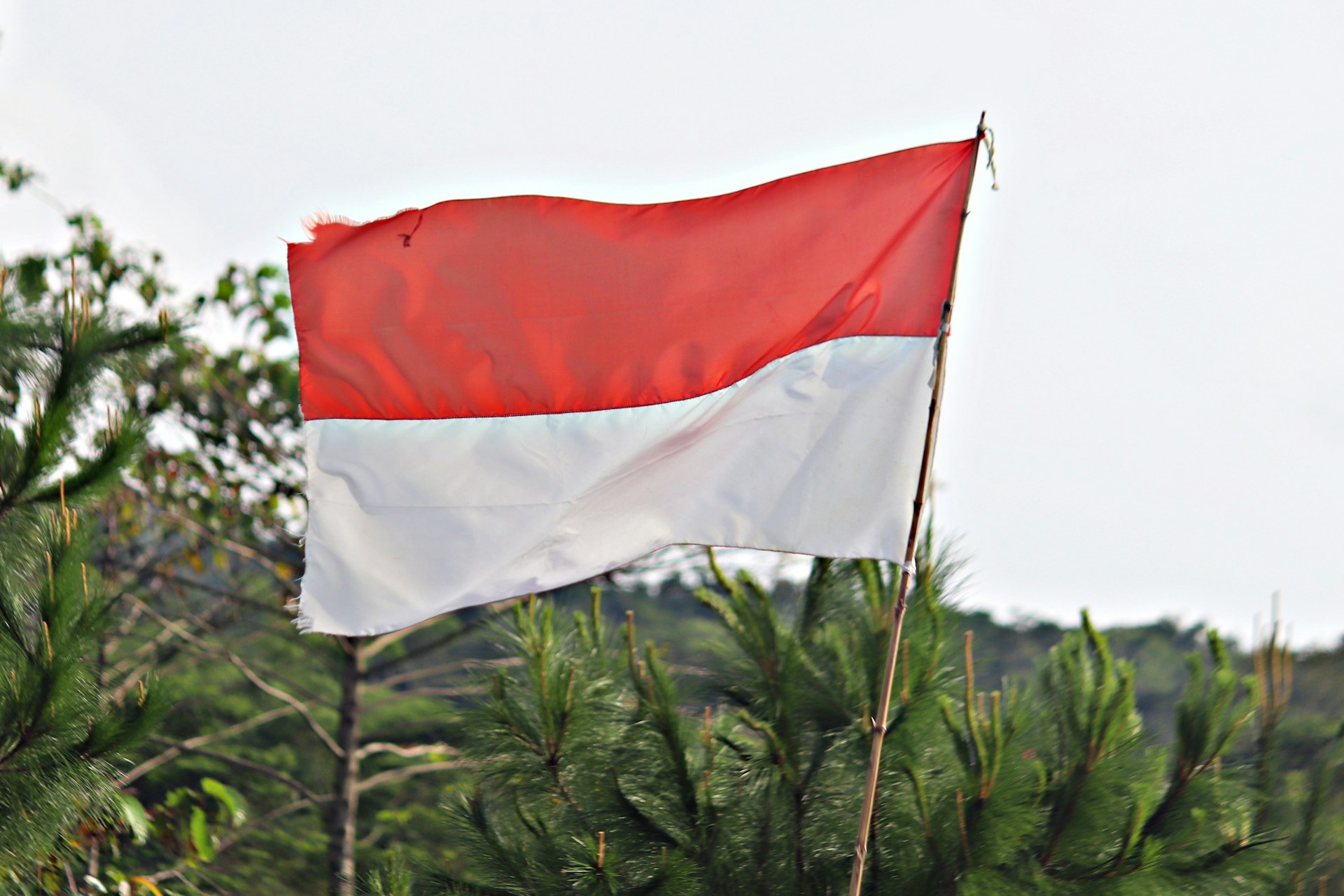 ilustrasi bendera merah putih
