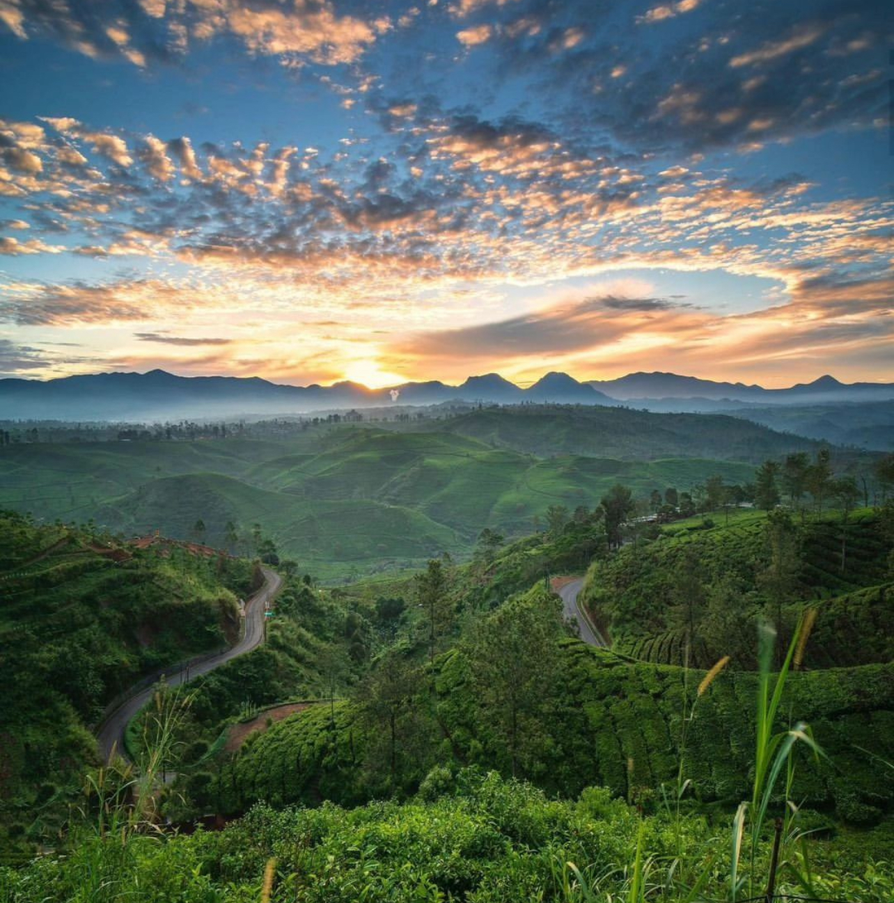 Kebun Teh Ciwidey Jawa Barat | instagram/kebuntehciwidey