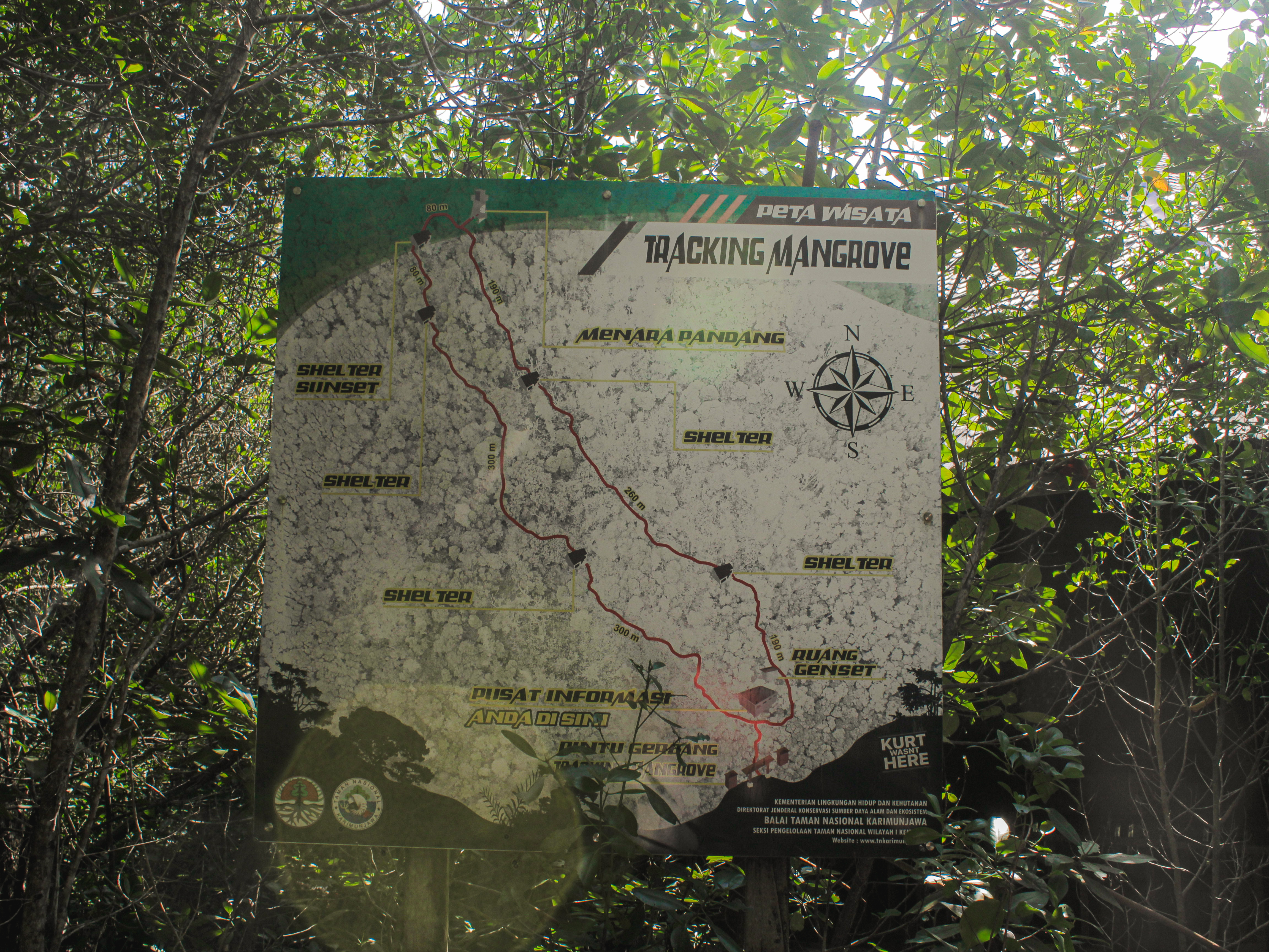 Peta Wisata Trekking Mangrove | Foto: Dokumentasi Pribadi/Amelia Early