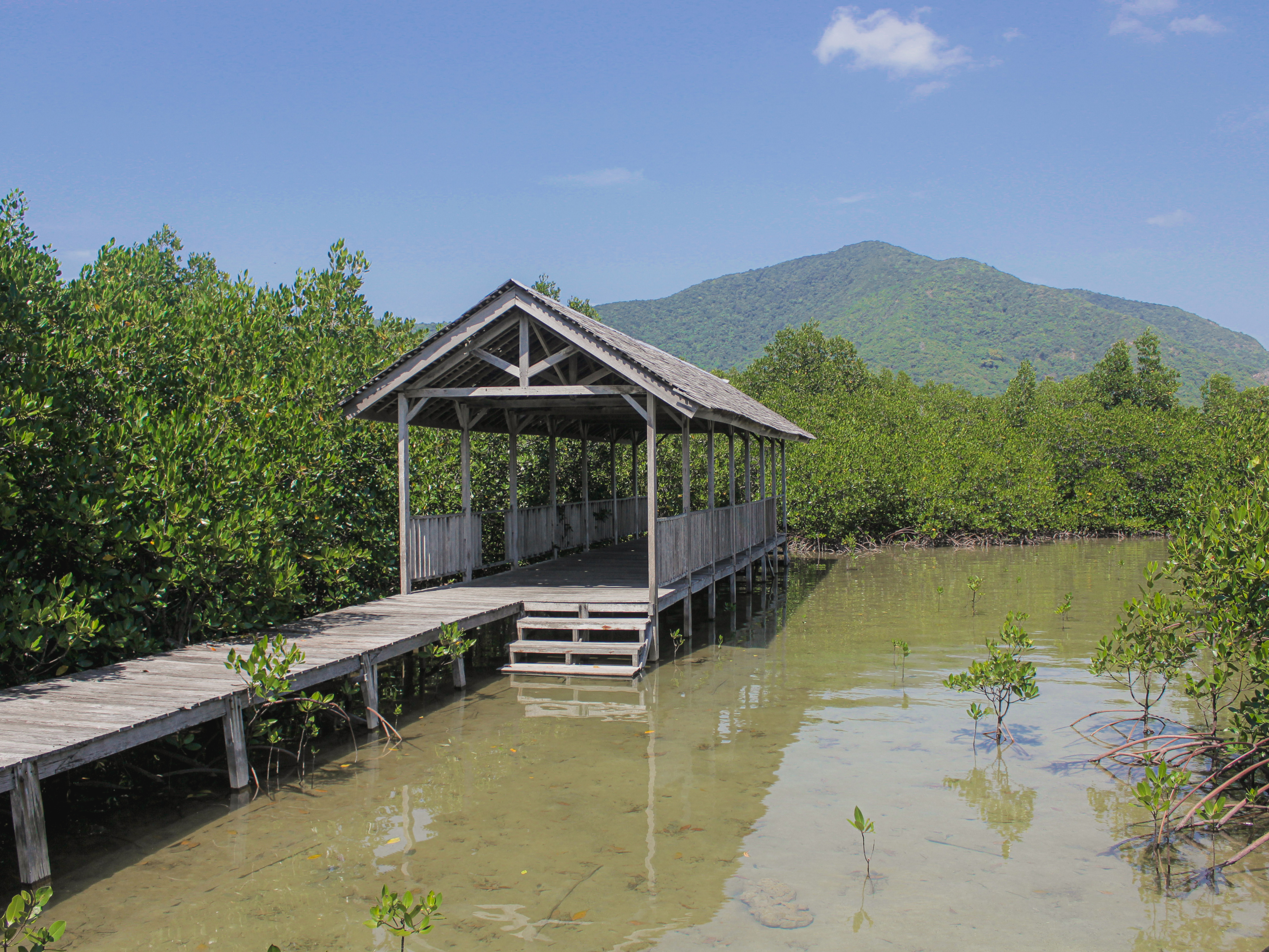 Shelter Sunset Trekking Hutan Mangrove | Foto: Dokumentasi Pribadi/Amelia Early