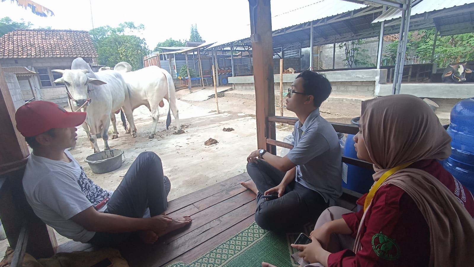 Diskusi bersama Ketua Kelompok Ternak