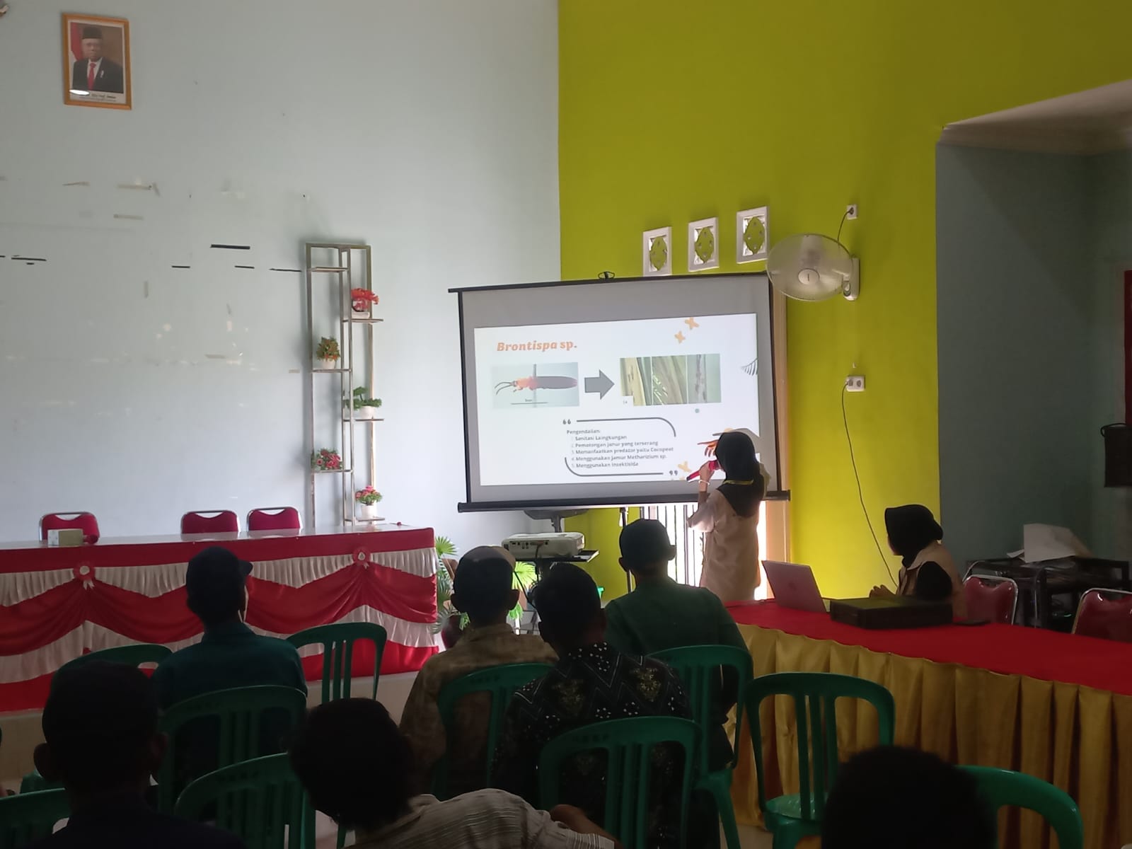 Foto: @Yuli/Suaseikakap Riris sedang menjelaskan mengenai hama yang menyerang tanaman kelapa