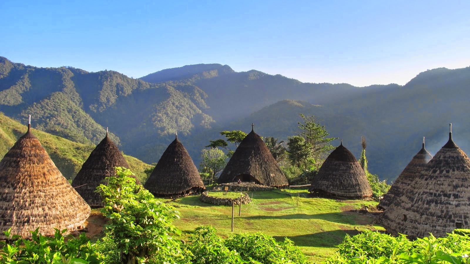 rumah adat mbaru niang dari manggarai, flores