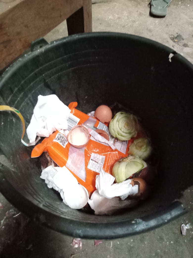 limbah organik rumah tangga di Desa Wonomulyo