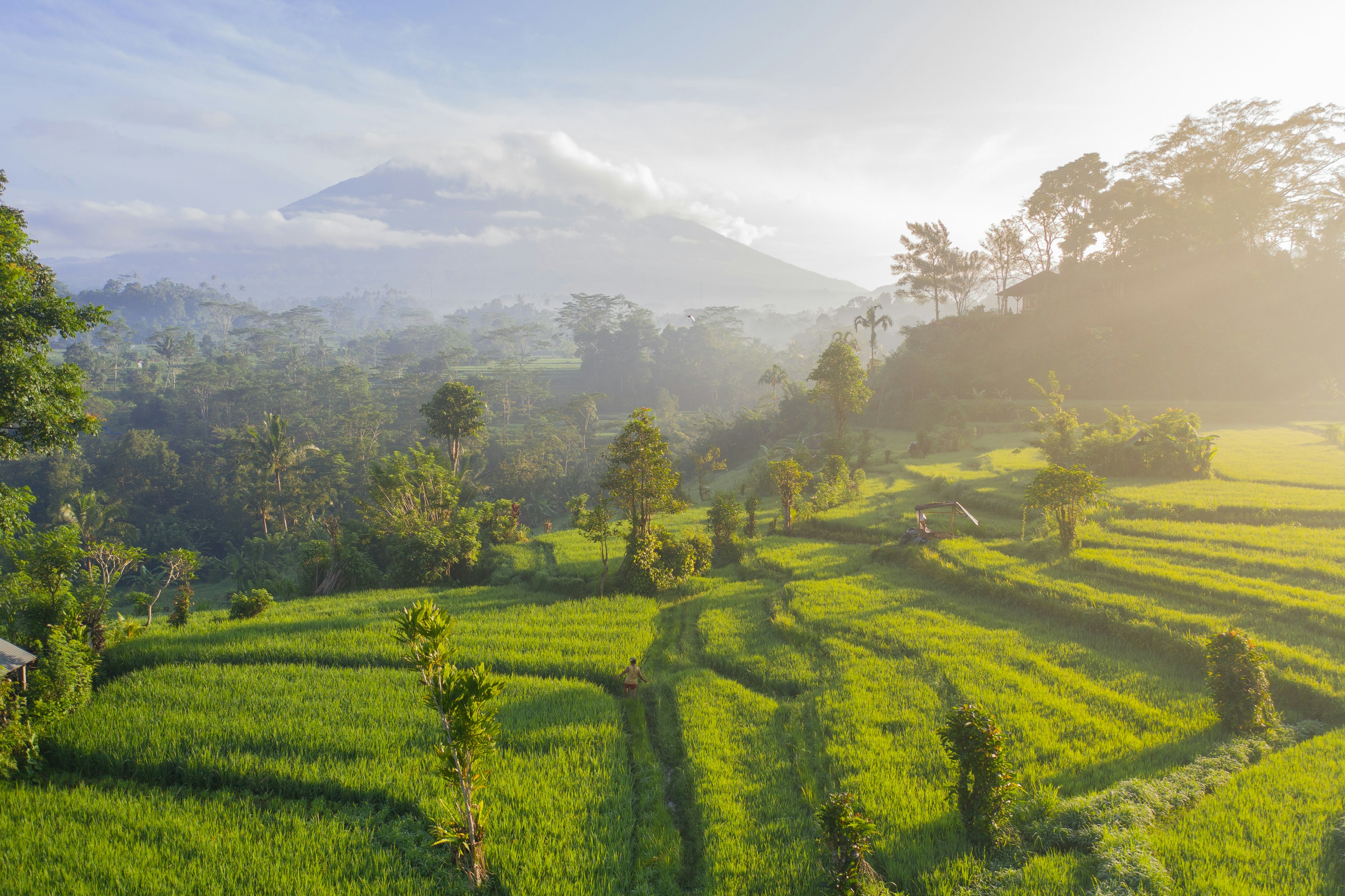 Pemandangan Gunung dan Sawah di Bali