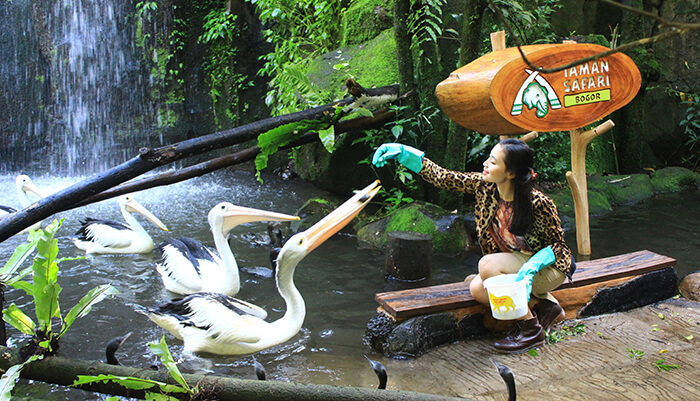 Taman Safari Indonesia