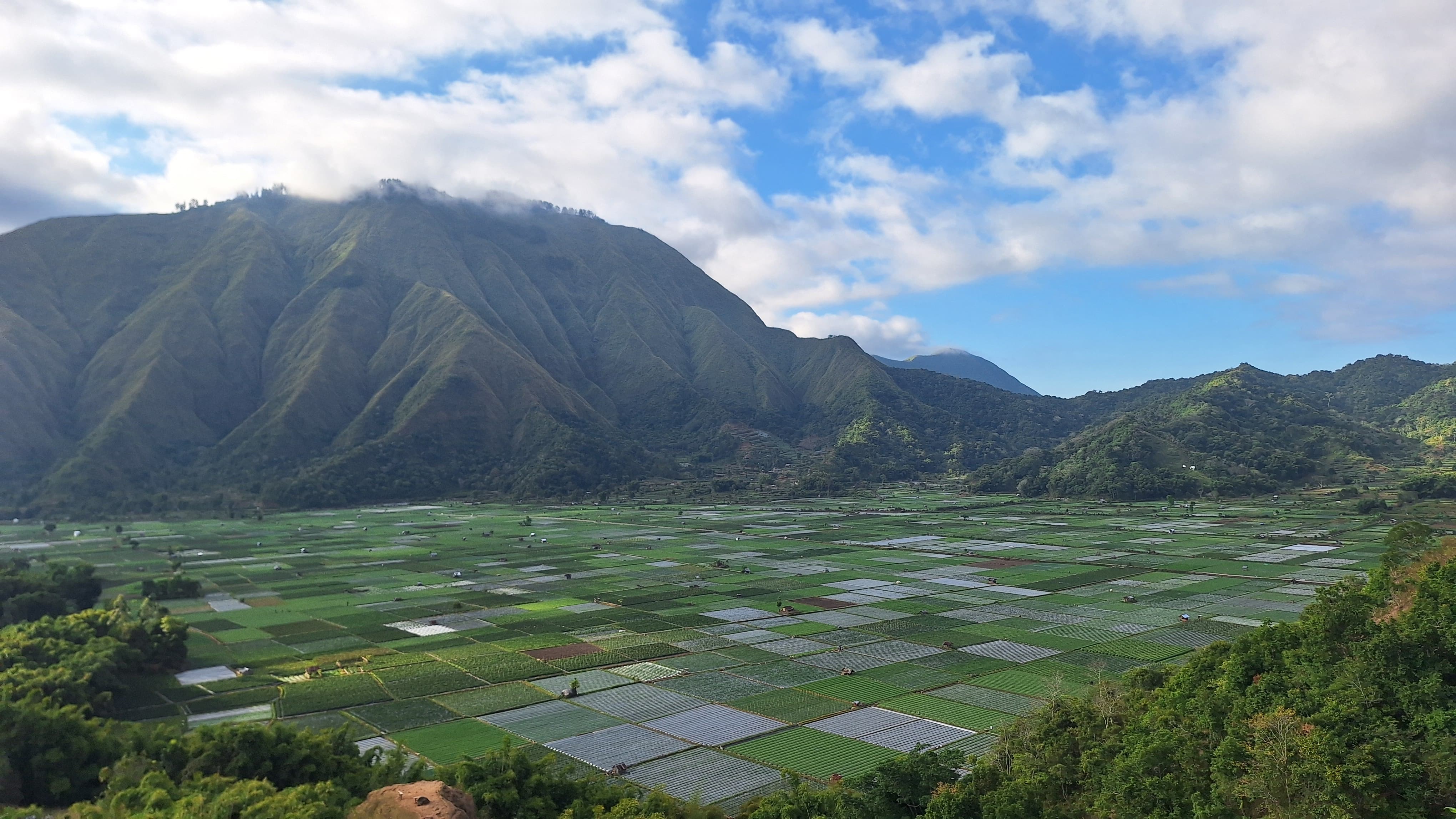 Sumber foto: Alipia Putri Riyanti | Potret atraksi wisata di Sembalun