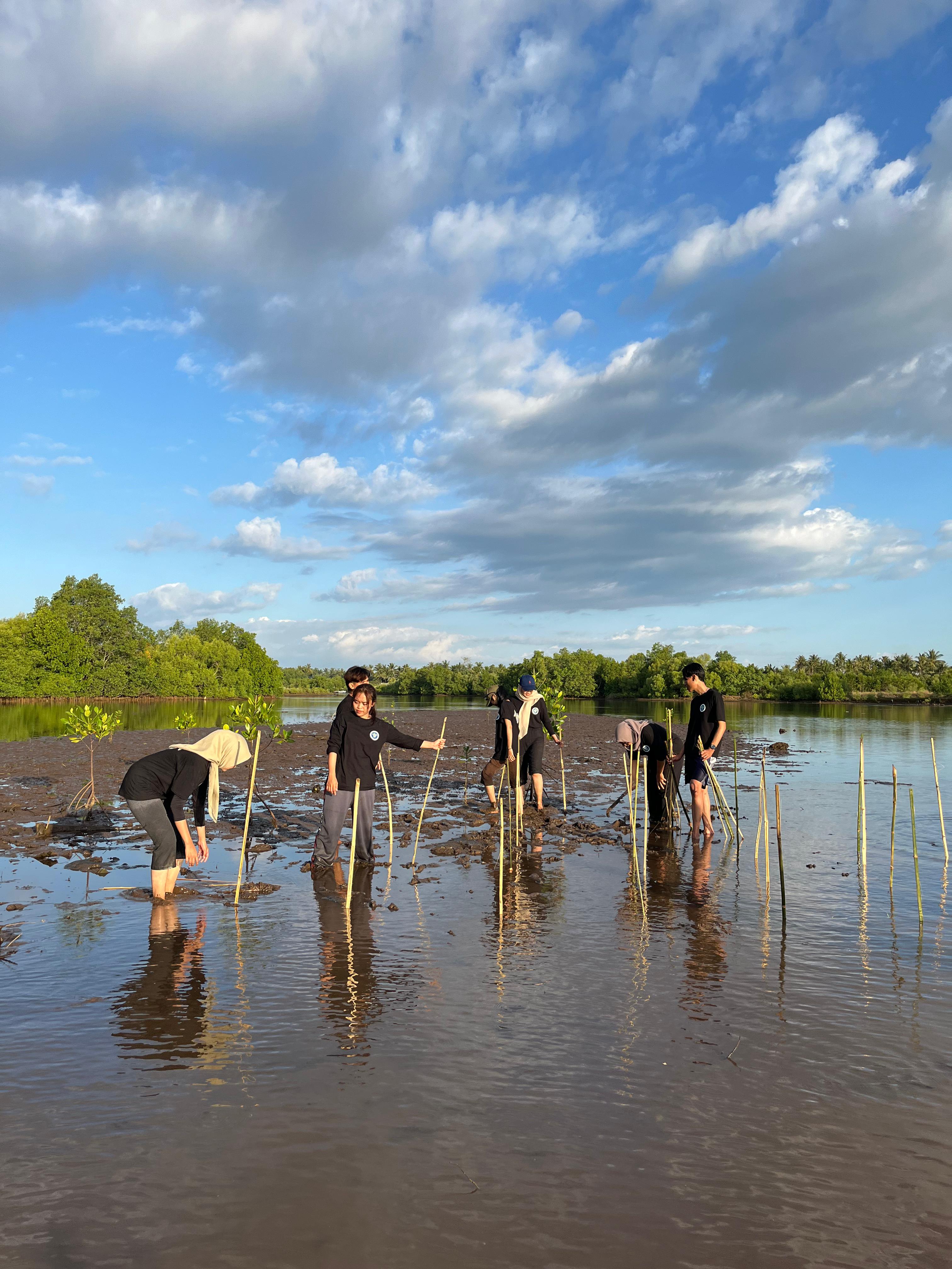 Penulis: Widyandari Rahmadhanti, Amran Simon Hasibuan
