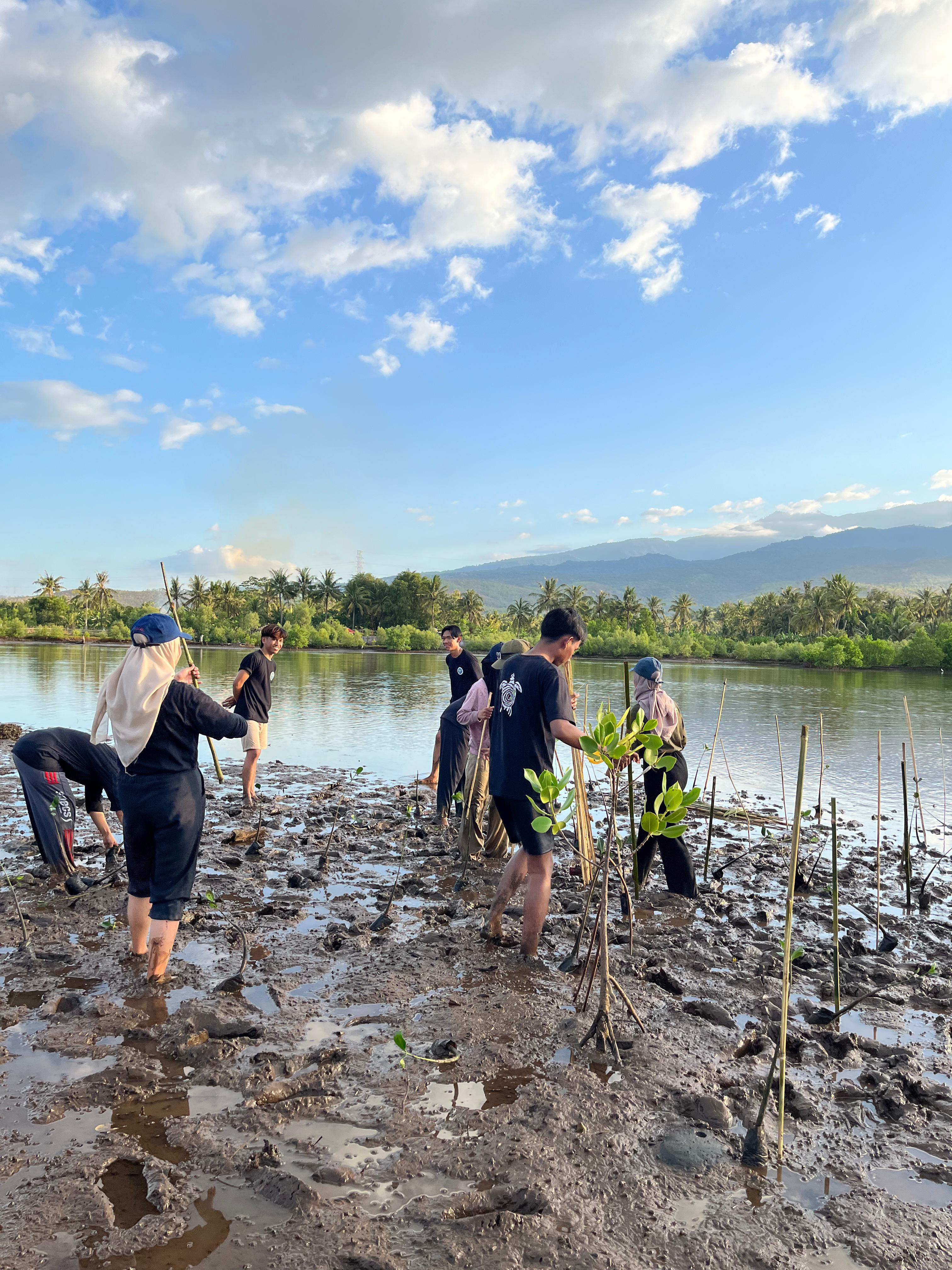 Sumber foto : Dokumentasi Tim KKN-PPM UGM Melukis Sambelia 2024