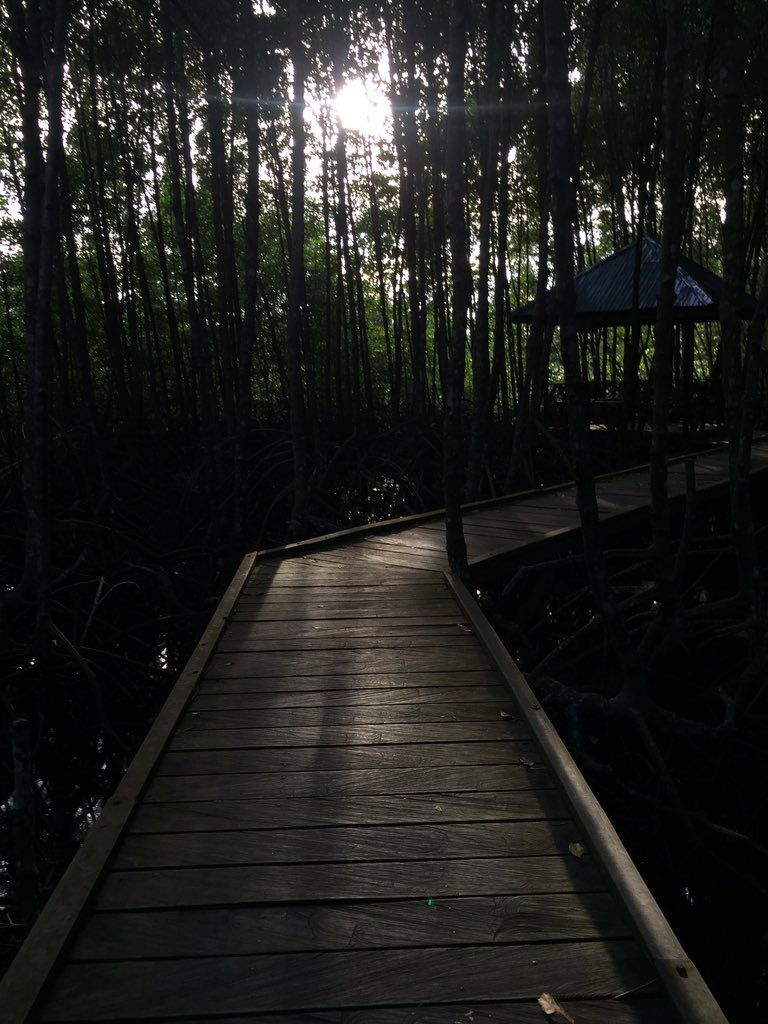 Boardwalk dan Gazebo untuk Bersantai | Sumber: Dokumentasi pribadi