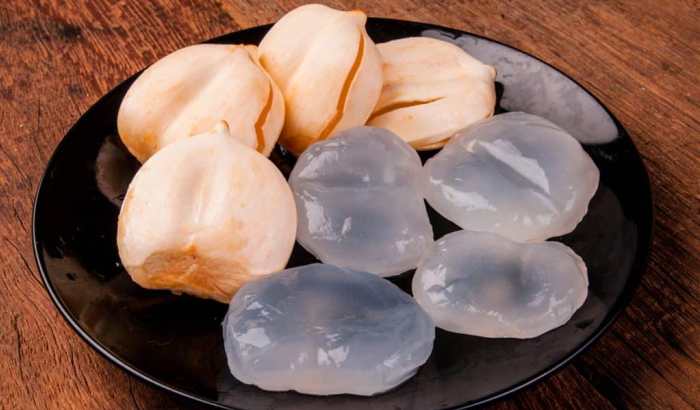 dok. Palapa News/Buah Lontar