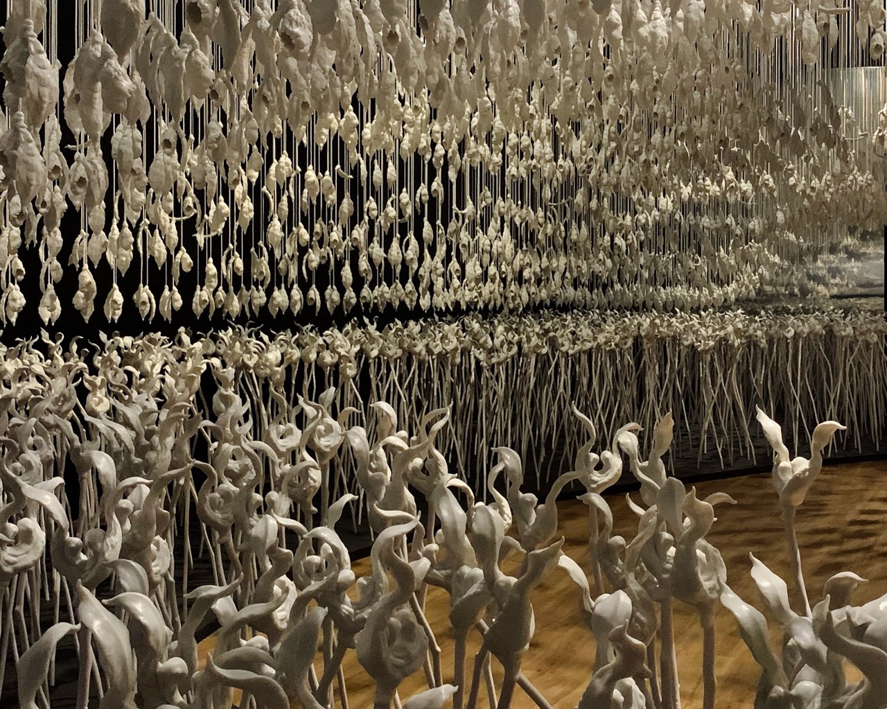 Celestial Field (2021) | Dokumen Pribadi: Sofi Aditami