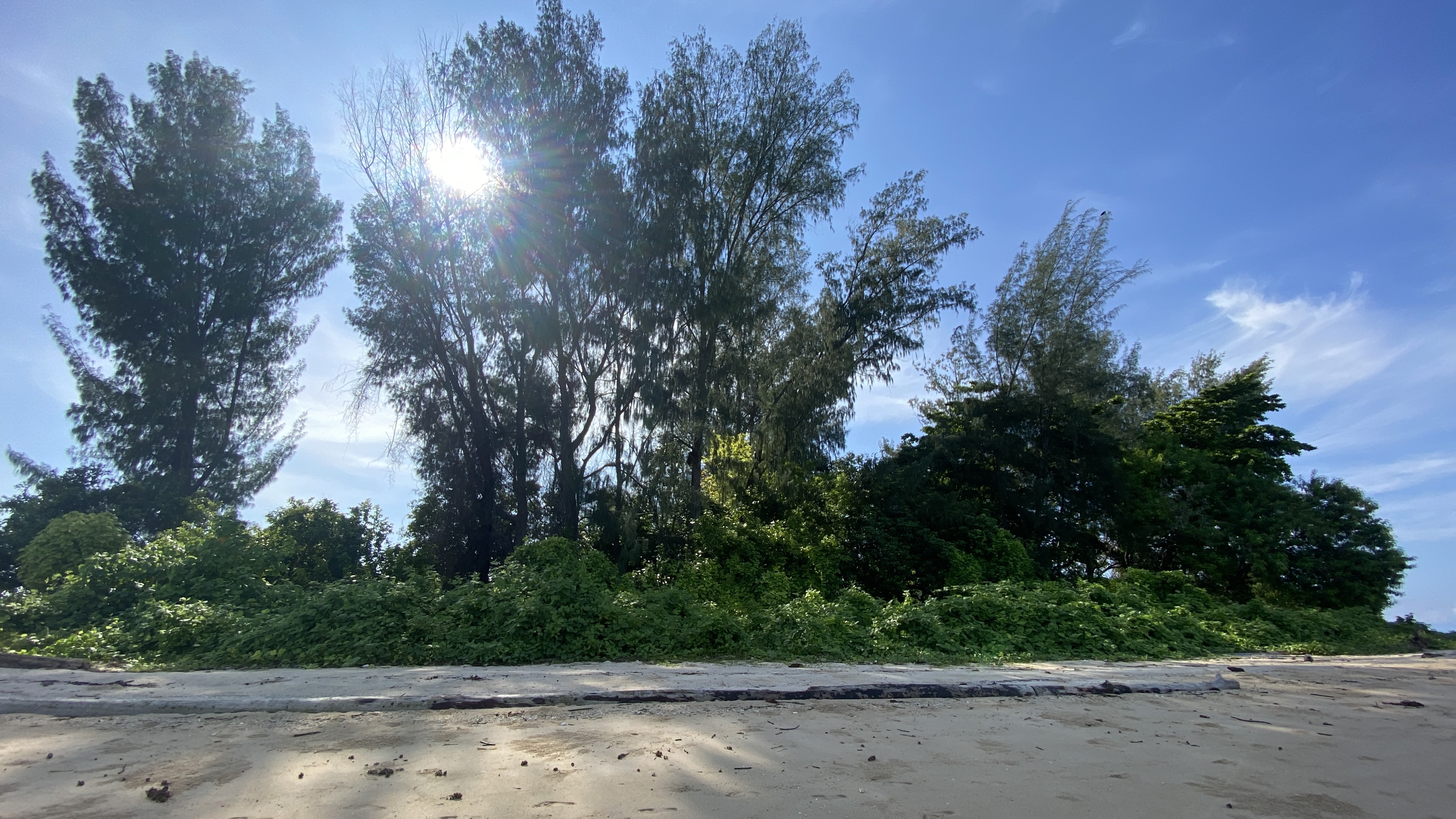 Pulau