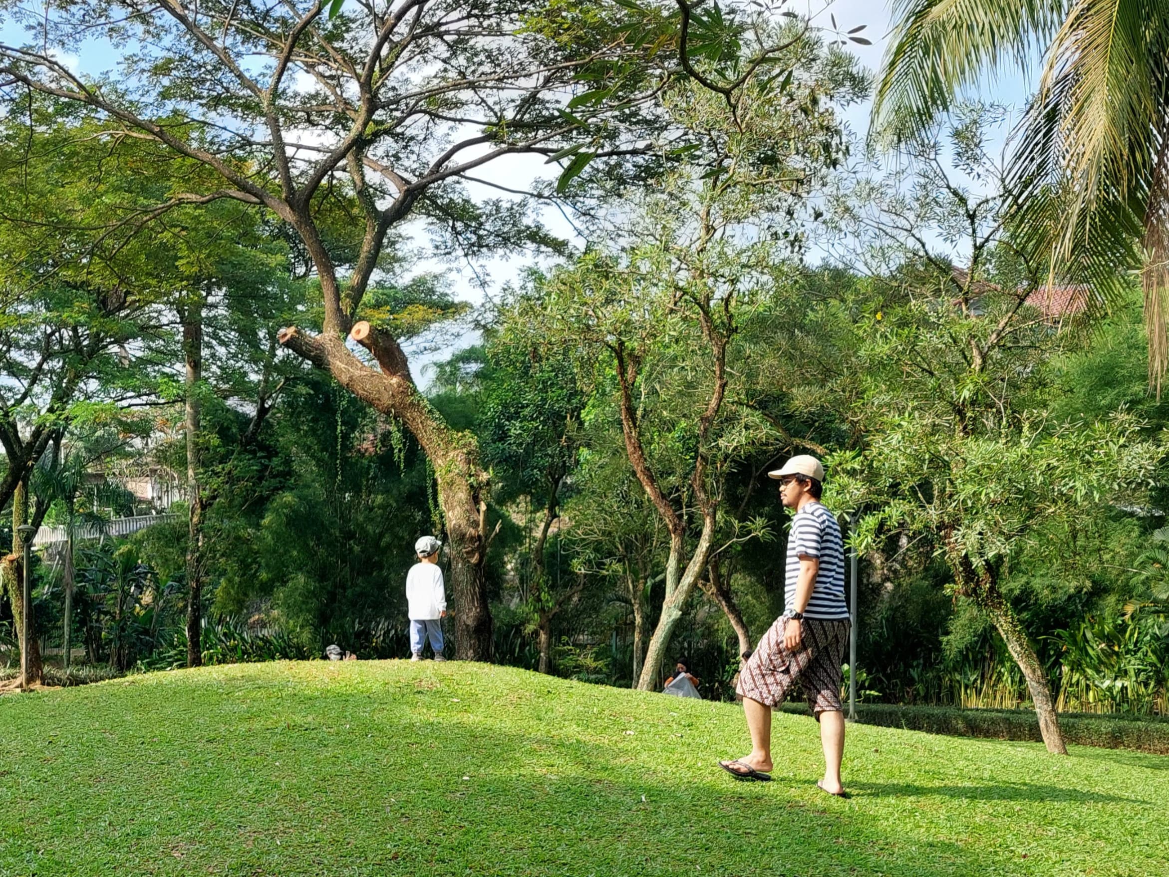 Taman Tabebuya Jagakarsa