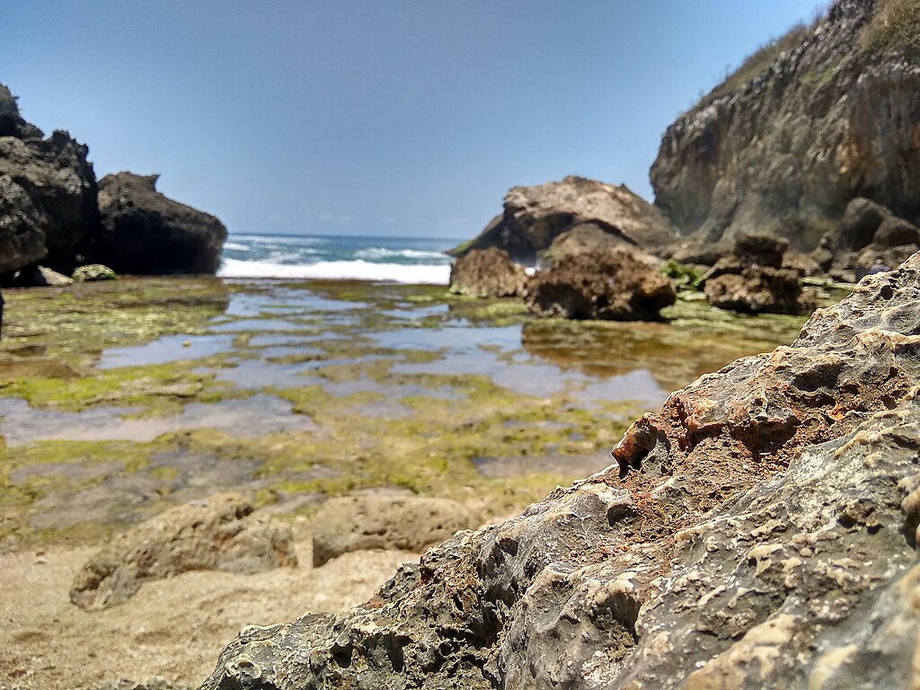 Pantai Wohkudu (Wikimedia Commons/Fandy Aprianto Rohman)