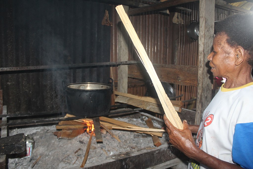 Ilustrasi Memasak Menggunakan Kayu Bakar | Sumber: Wikimedia Commons (Lefaan)