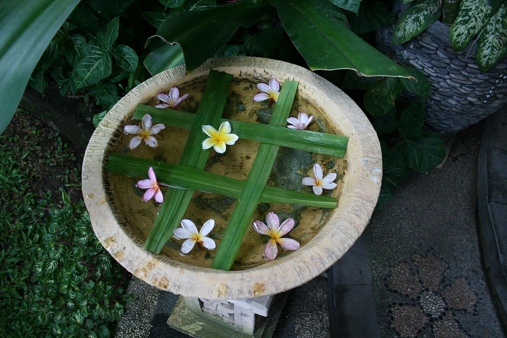 Bunga Kamboja di Wadah Air Pura Hindu | Sumber: Wikimedia Commons (Steven Belcher)