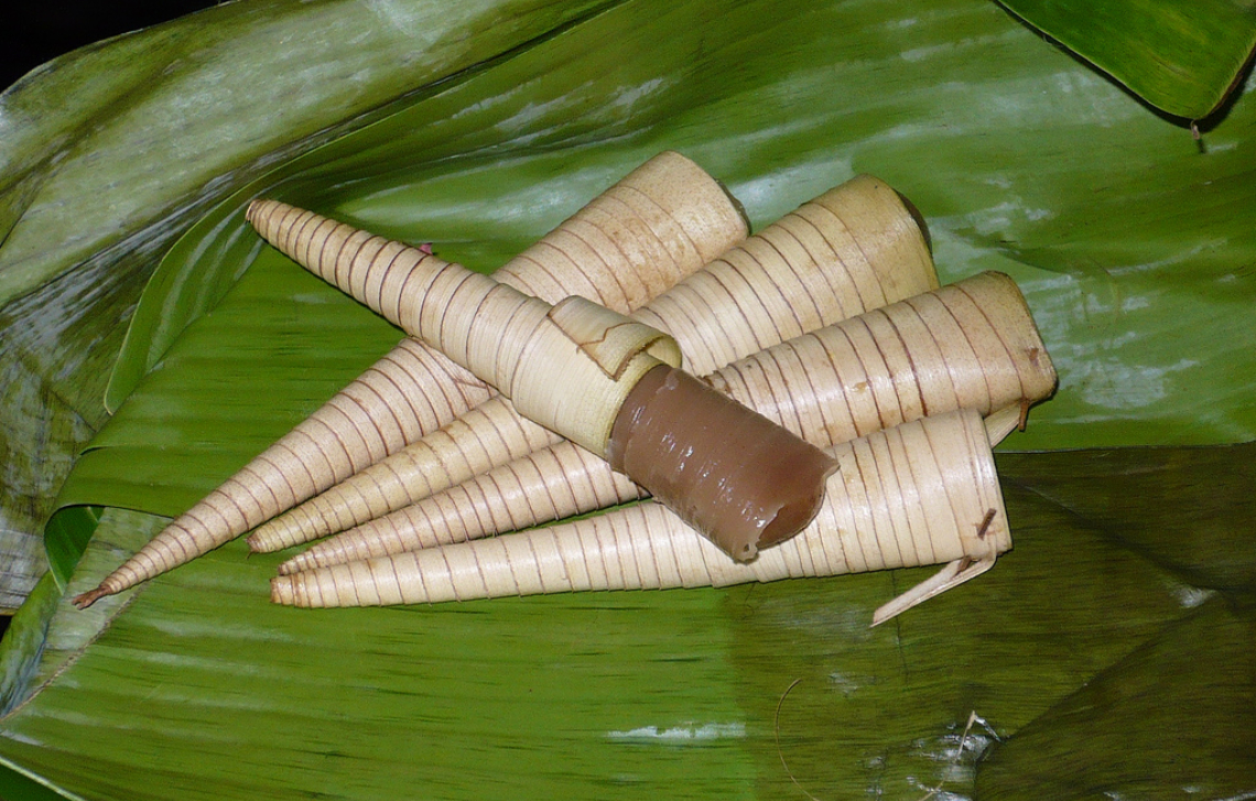 Clorot | Wikimedia Commons/Wiendietry Rusli