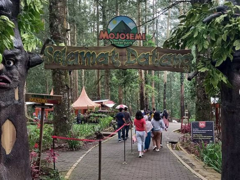 Wisata di Magetan_Mojosemi Forest Park