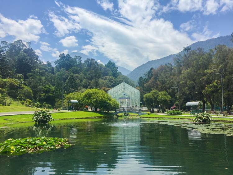 https://kebunraya.id/cibodas/interesting-spot