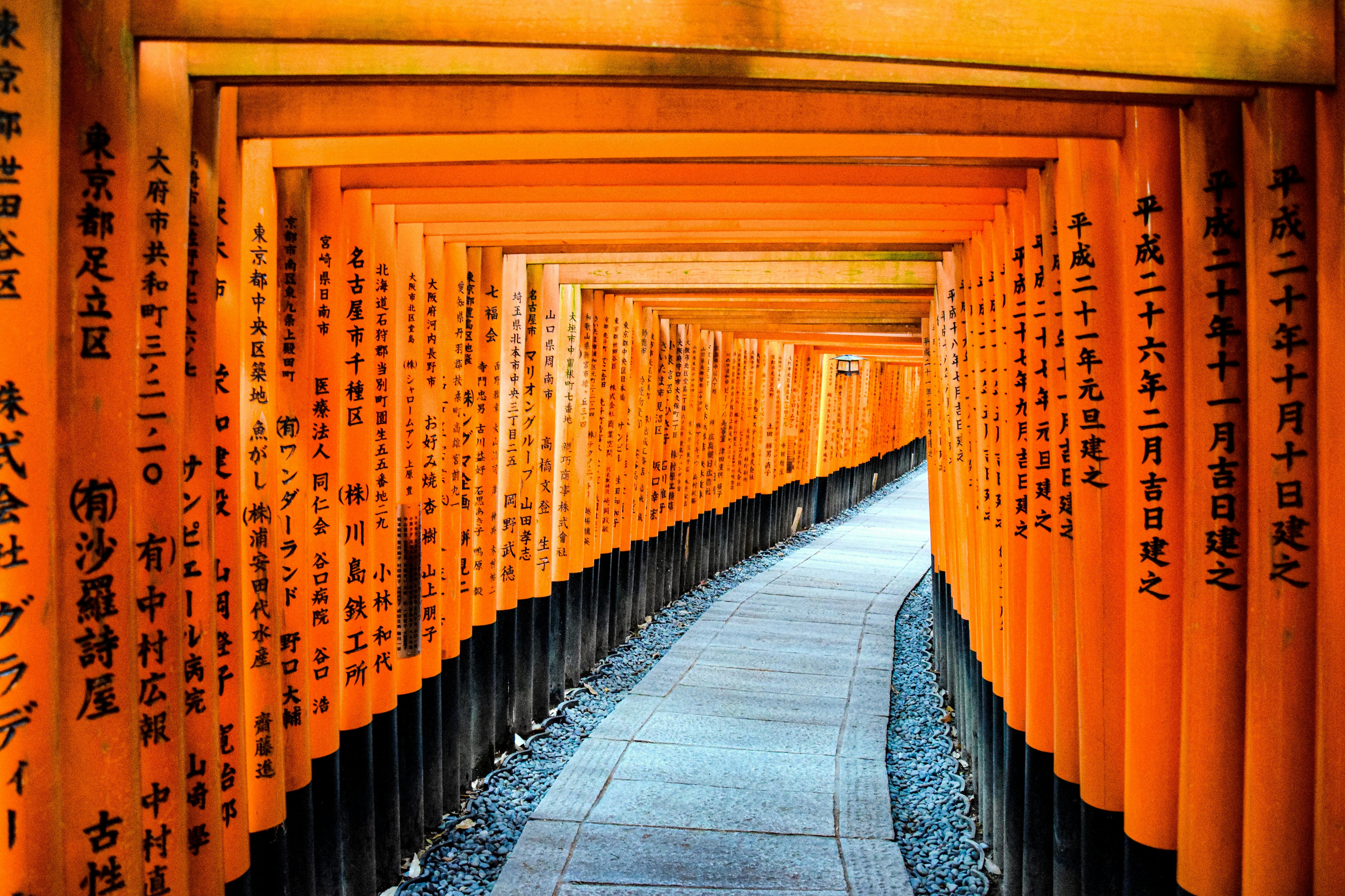 Ilustrasi gerbang Torii