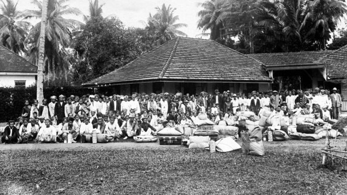 Potret Transmigrasi Suku Jawa pada era Pemerintah Kolonial Hindia Belanda 