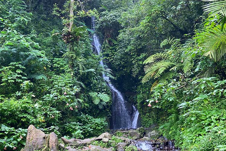 Air Terjun Cibogo di Kebun Raya Cibodas