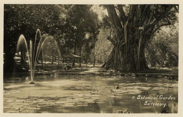 Kebun Raya Bogor tahun 1935 | KILTV