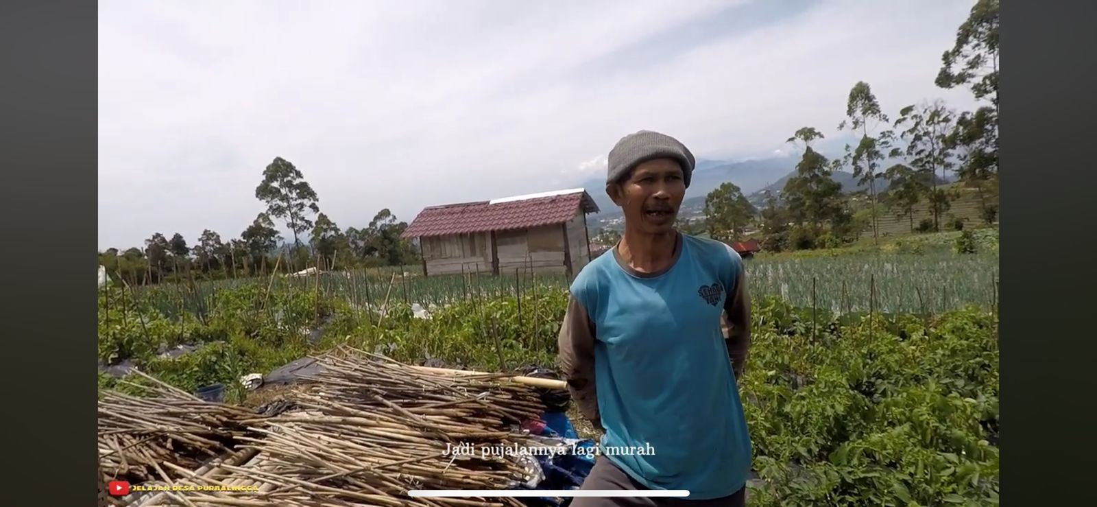Sosok petani/Youtube