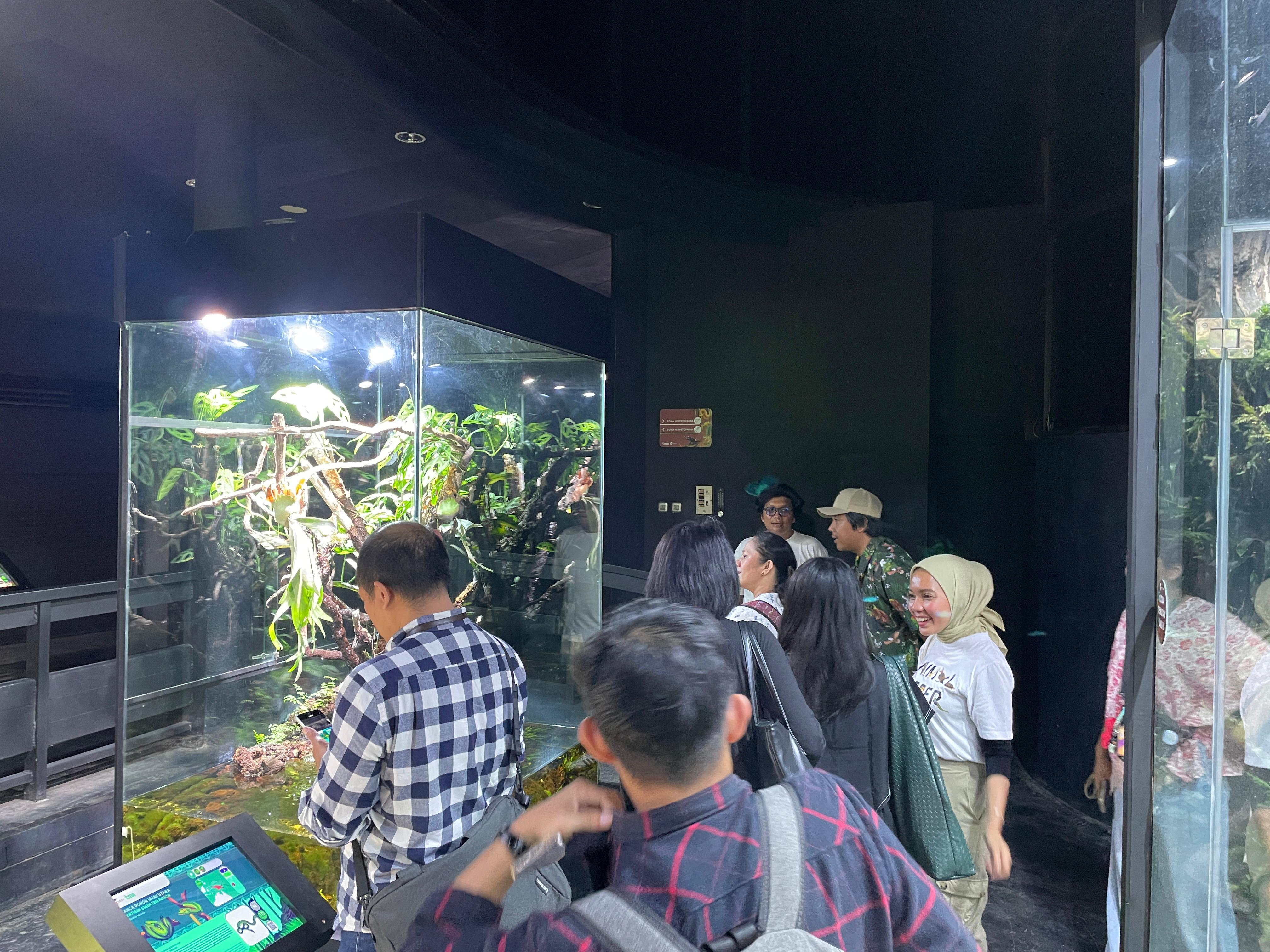 Sunset di Kebun/Jagat Satwa Nusantara