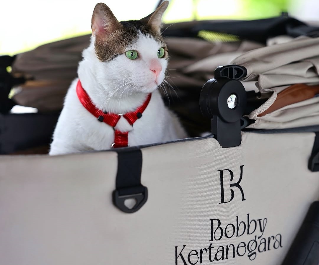 Tampak Bobby Kertanegara sedang berpose di atas strollernya yang bertuliskan BK (Bobby Kertanegara)