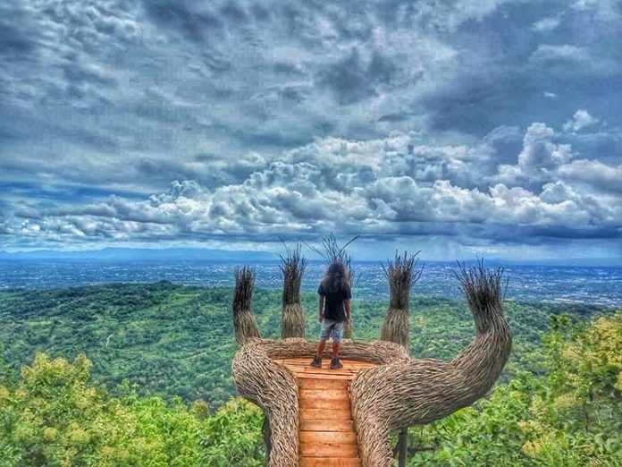Liburan jogja, spot foto di Hutan Pinus Mangunan | Sumber : Dinas Pariwisata Kota Yogyakarta