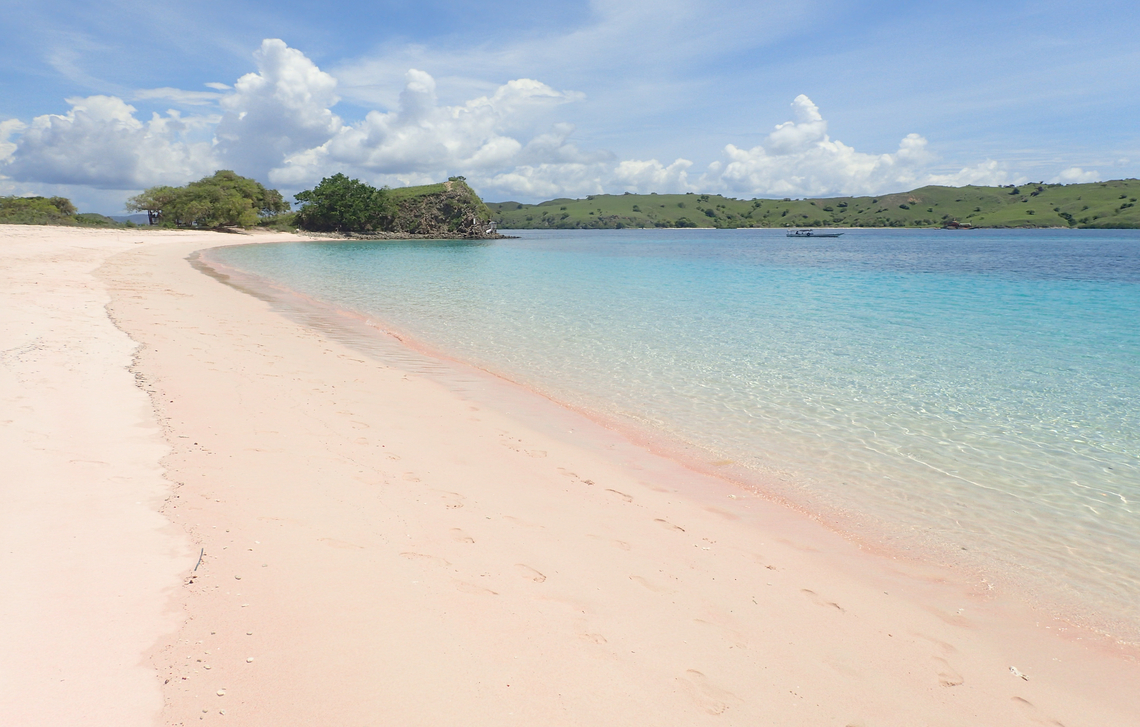 Pantai Pink