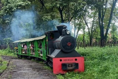 Kereta Wisata Madukismo