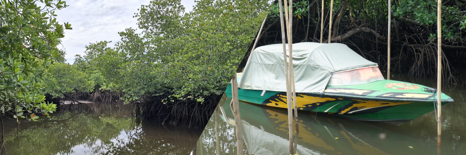 Ekowisata Susur Sungai | Dokumentasi Tim KKN-PPM UGM