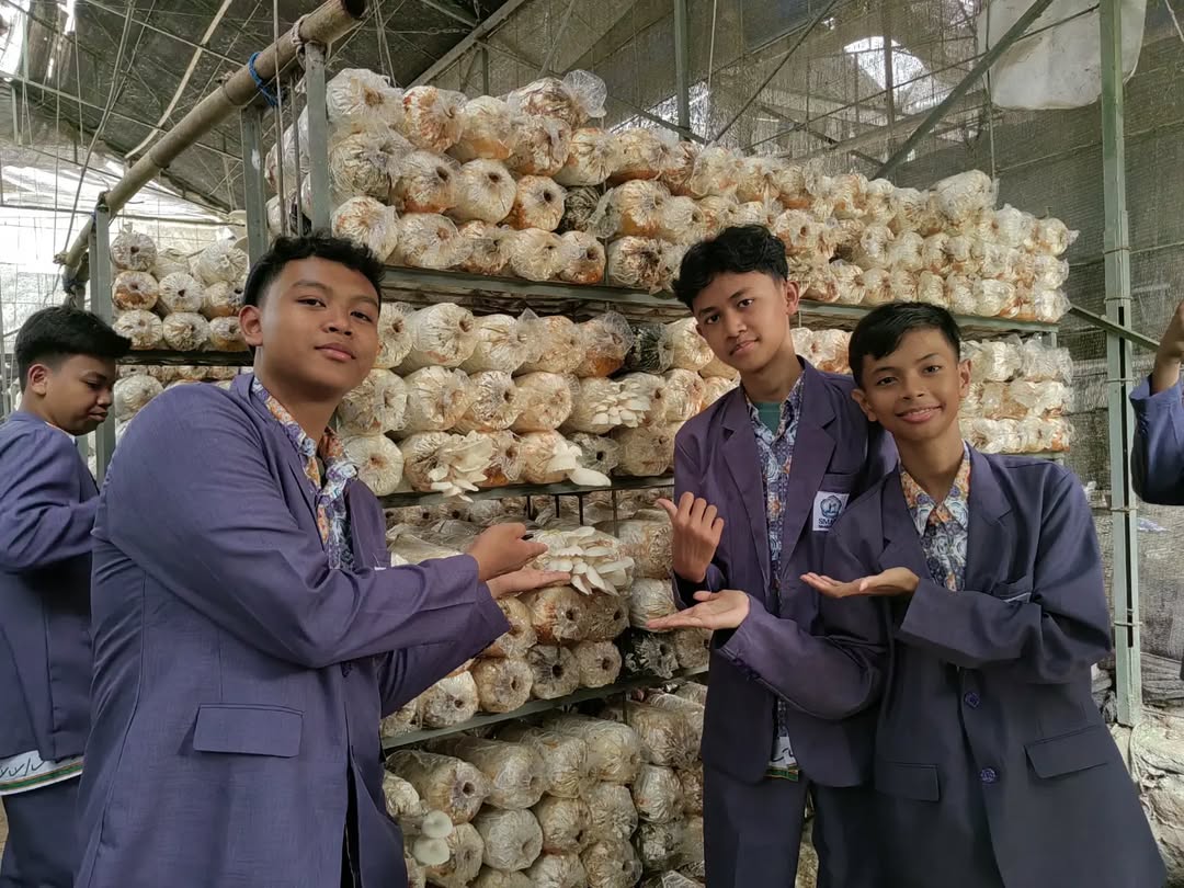 Asyiknya Berkunjung ke Budidaya Jamur di Taman Betung, Lampung. Sumber Foto: Instagram @tamanbetung_lampung.