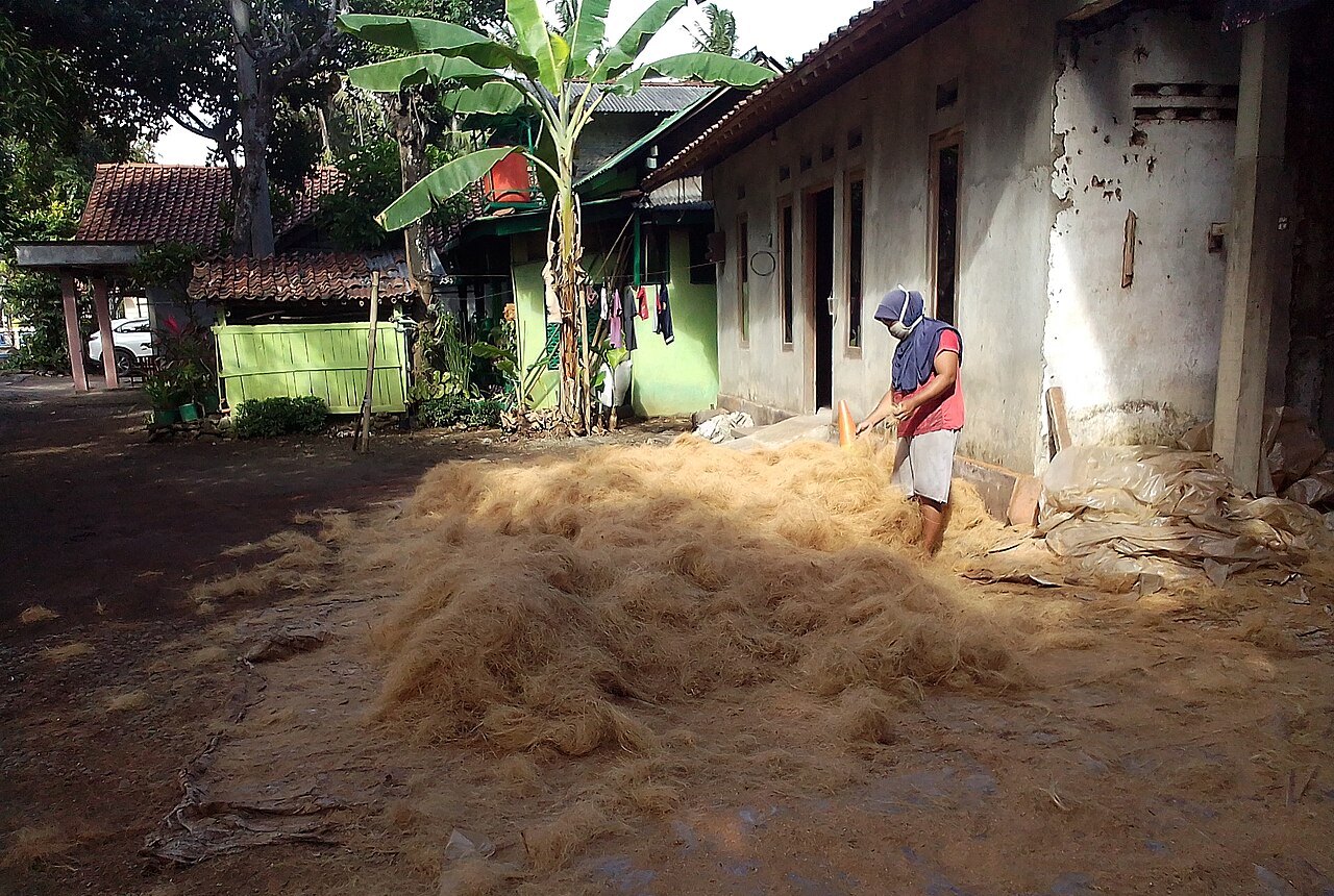 Coco fiber dari sabut kelapa