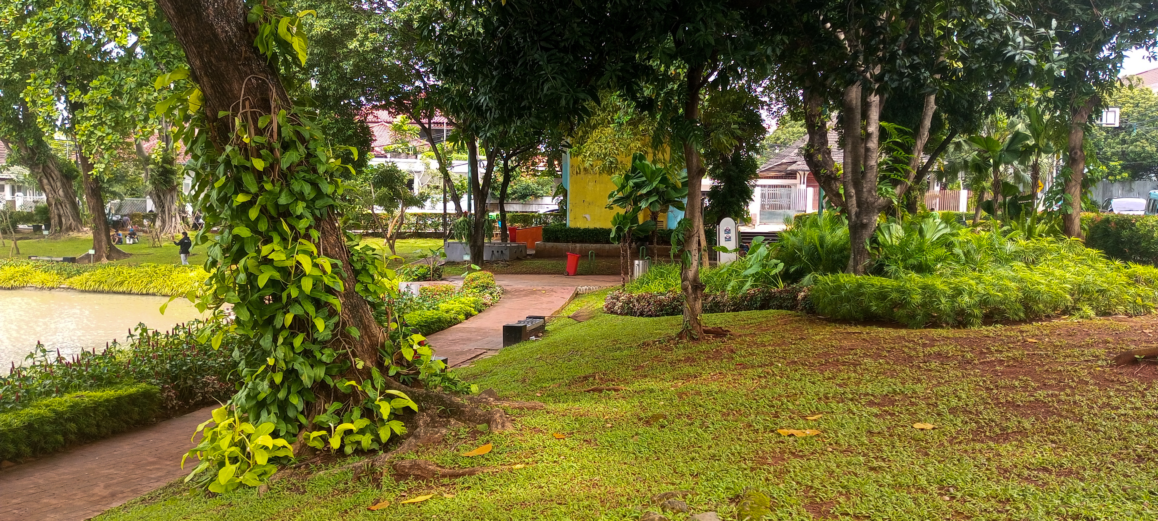 Pepohonan di Taman Situ Lembang | Dok. Almer Sophian 