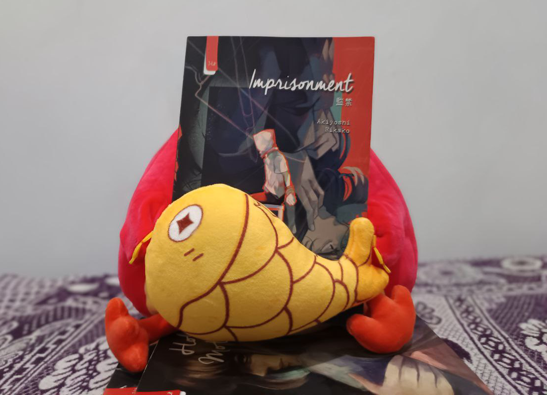 Novel Imprisonment 