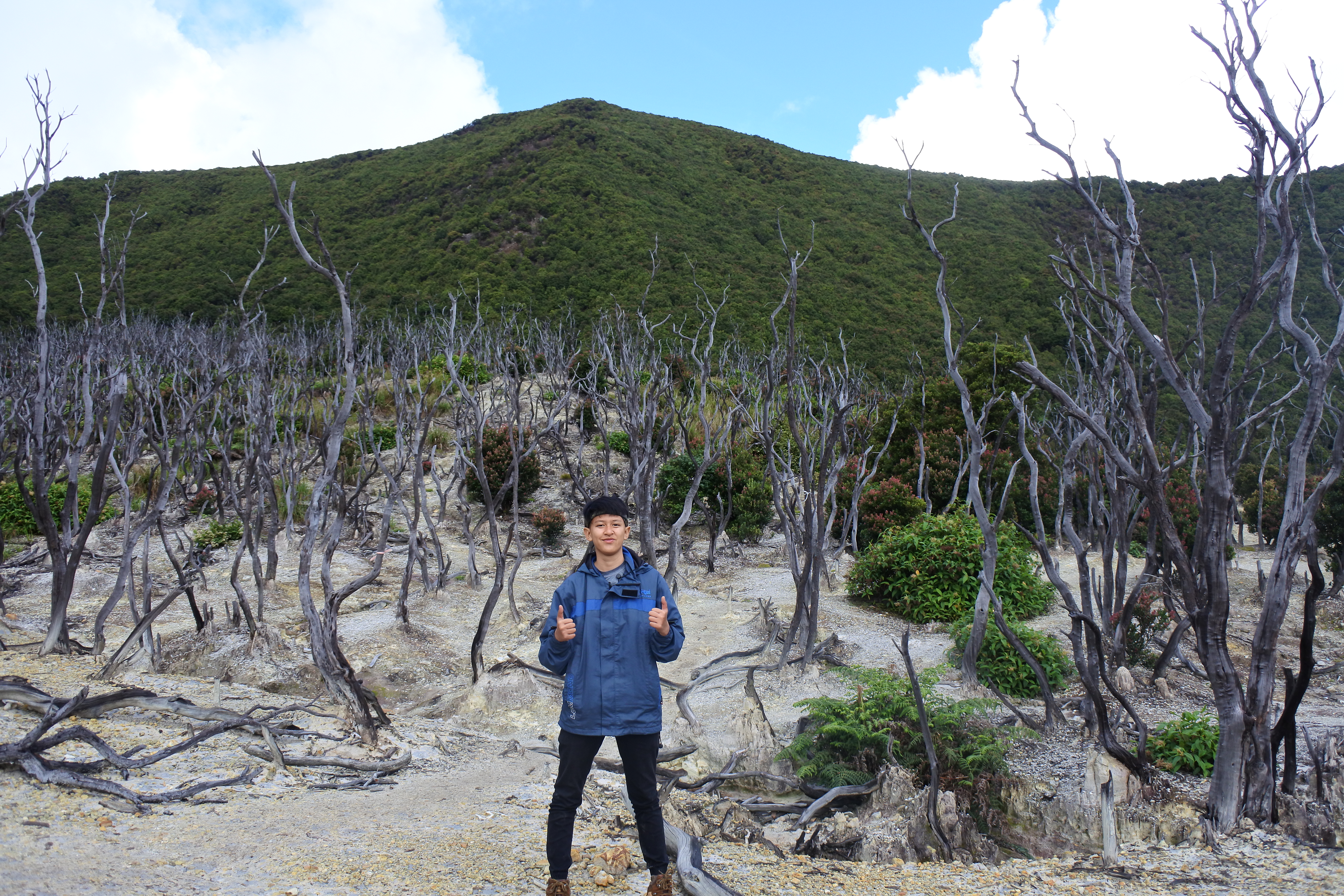 Hutan Mati Rekomendasi Gunung Untuk Pemula