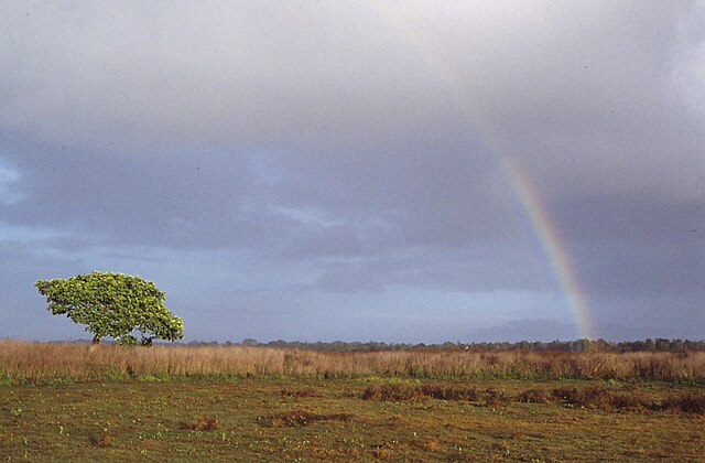 Pelangi di Taman Nasional Wasur Papua via wikimedia commons